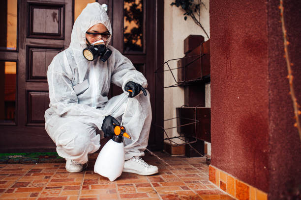 Reliable Ant Control contractor in Westwego, LA by Show Me Pest Control